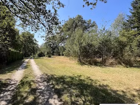 vente terrain 1856 m² à les bordes (45460)  98 000 €