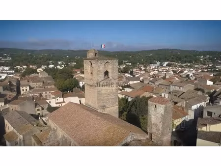 vente locaux professionnels 181 m² à lézignan-corbières (11200)  79 000 €