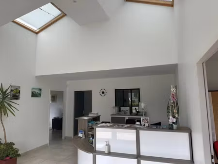 vente locaux professionnels 280 m² à vieillevigne (44116)  341 000 €