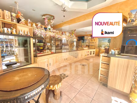 vente locaux professionnels 160 m² à hauterives (26390)  198 000 €