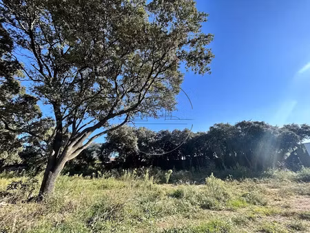 vente terrain à batir 400 m² à saint-bres (34670)  260 000 €