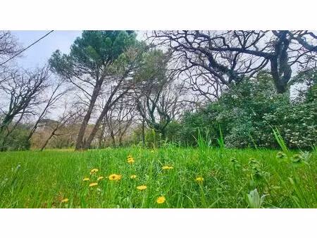 en bordure de village de charme au nord d'uzès - terrain à bâtir de 1000 m2.