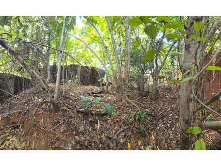 terrain inconstructible 933m2 remire montjoly 78 000eur fai