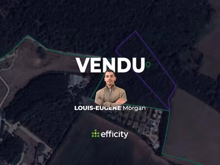 vente terrain 13132 m² à lhommaizé (86410)  4 400 €