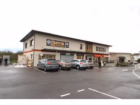 location locaux professionnels 54.68 m² à saint-romans (38160)  836 €