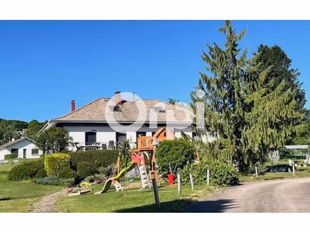 maison fraize m² t-10 à vendre  459 000 €