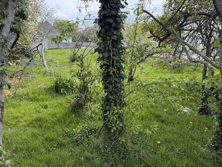 vente terrain à pléneuf-val-andré (22370) : à vendre / 300m² pléneuf-val-andré