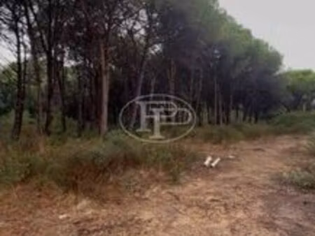 appartement de luxe de 2 chambres en vente à calvi  france