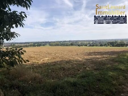 terrain de 17006 m2 en vente - la chapelle-saint-aubert  france