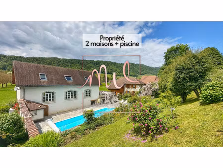 achat maison 8 pièces 446m² st aupre 38960