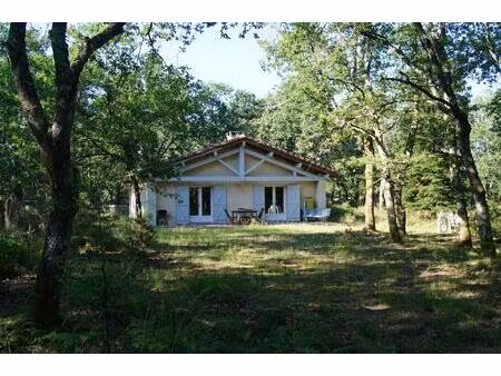 au coeur de la forêt