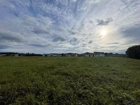 terrain de 11654 m2 - labastide-villefranche  france