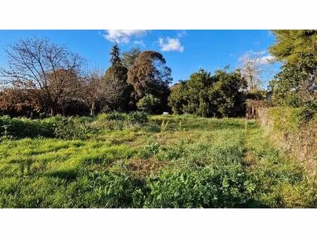 terrain de 741 m2 - mauguio  occitanie