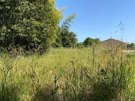 vente terrain à notre-dame-de-riez (85270) : à vendre / 809m² notre-dame-de-riez