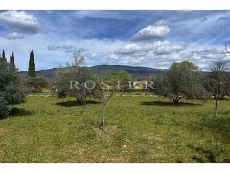 bedoin - parcelle arborée de 1800 m² constructible.