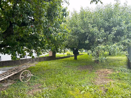 terrain issenheim 523 m2