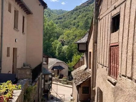 vente maison 9 pièces 300m2 conques-en-rouergue 12320 - 270000 € - surface privée