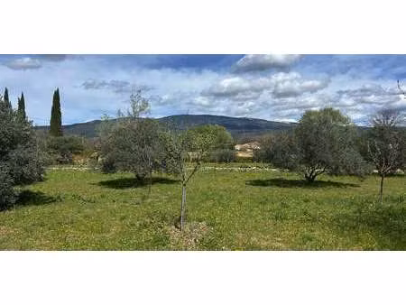 terrain bédoin (84)