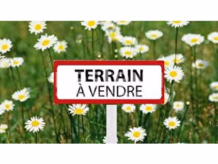 vente terrain 1545 m² à bazouges-sur-le-loir (72200)  28 514 €