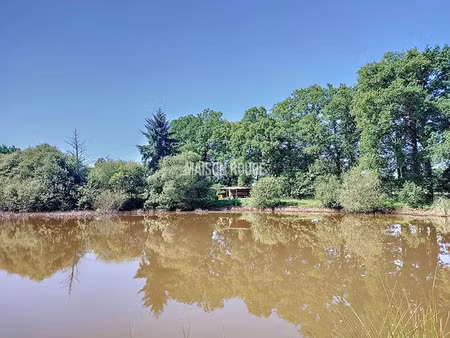 vente terrain 24474 m² à vignoc (35630)  75 480 €