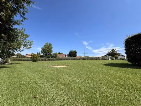 vente terrain 800 m² à villefranque (64990)  213 000 €