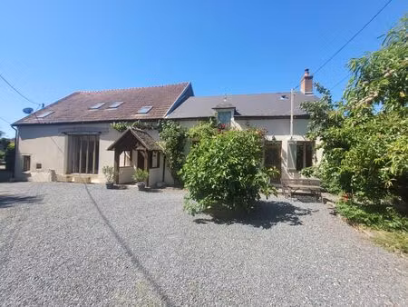 vente maison 9 pièces 245 m² préveranges (18370)