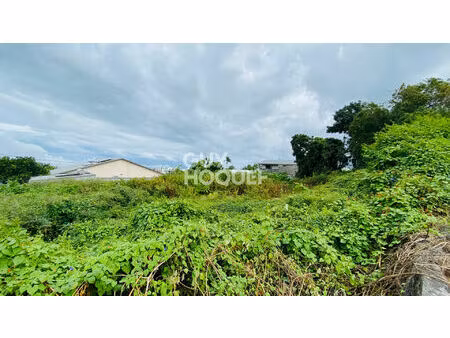 terrain le tampon 1000 m2