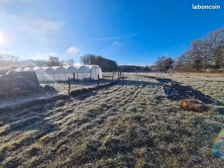 projet perma jardin forêt clef en main