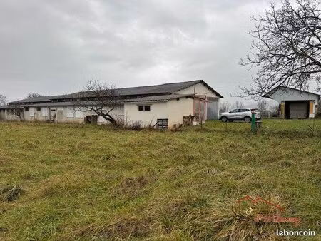 appartement 5 pièces 126 m²