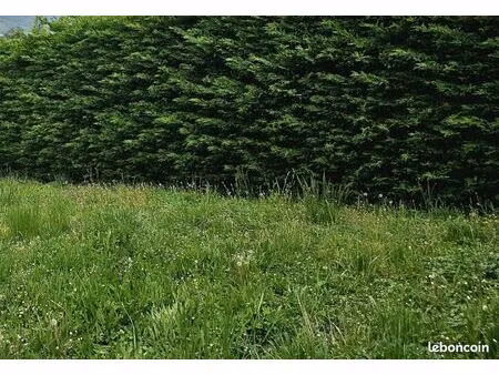 terrain 715 m² charnay les macon