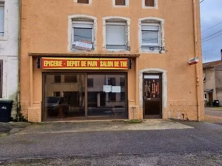 immeuble 180 m² maizières-lès-vic