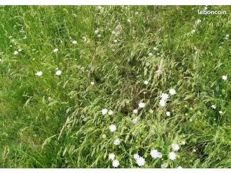 terrain 480 m² la salvetat saint gilles