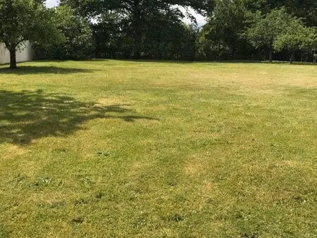 terrain proche de lesparre