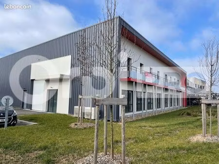 local commercial 463 m²