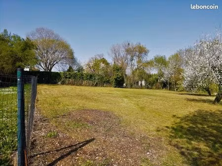 terrain constructible