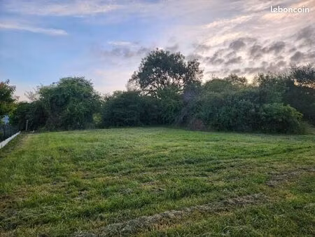 terrain constructible