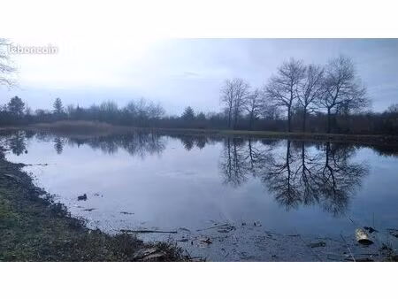 etang de peche et chasse dans parc de la brene