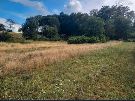 terrain constructible