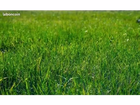 terrain constructible 1790