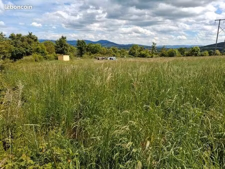 terrain constructible