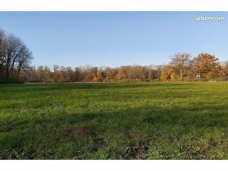 terrain 1784 m² conty