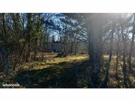 terrain + 1 hectare boiser sur le cause