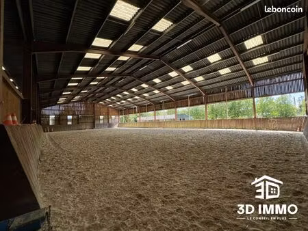 terrain 39214 m² leval