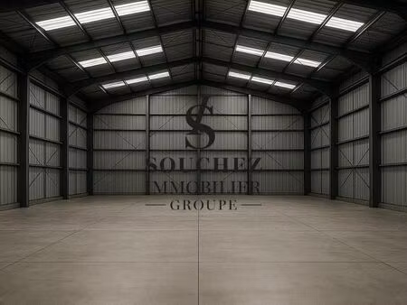 local bureaux 146 m²