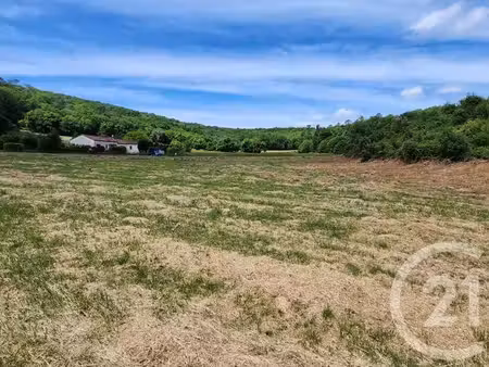 terrain à vendre - 4000 m2 - st vincent le paluel - 24 - aquitaine