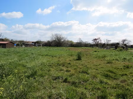terrain de1446 m2 - cissac medoc
