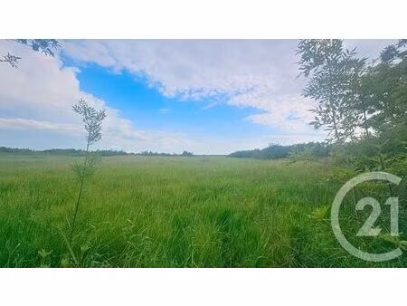 terrain à vendre - 9110 m2 - moreilles - 85 - pays-de-loire