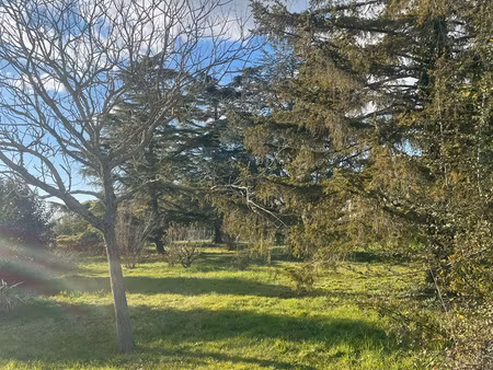 terrain constructible