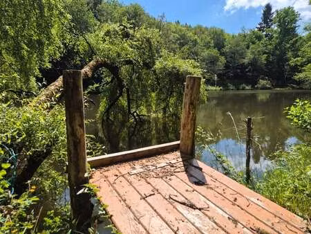 vente terrain à pressignac (16150) : à vendre / 18994m² pressignac