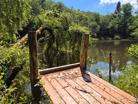 terrain à vendre pressignac 18994m2 76 000€